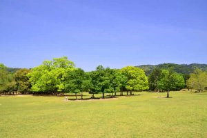 エアラインの就活写真はどこで撮影するのが好ましいか、おすすめの撮影スポットを紹介！3