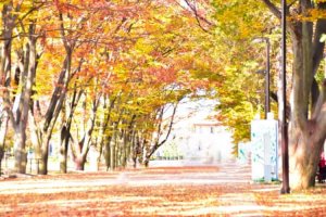 エアラインの就活写真はどこで撮影するのが好ましいか、おすすめの撮影スポットを紹介！4