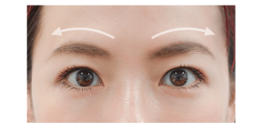 エアライン証明写真の眉毛の形や正しいメイク手順を紹介！アーチ眉